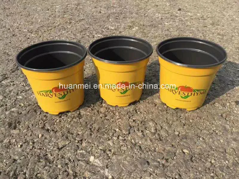 Colorful Printing Flower Pot, Customized Designed Pot, Upc Scanable Pot