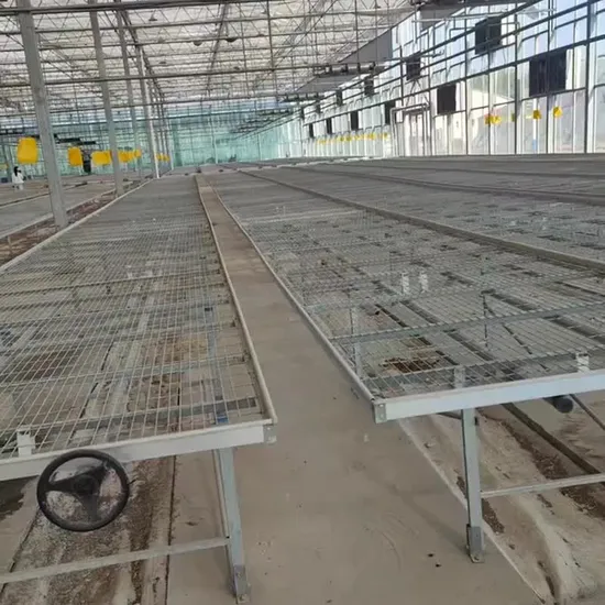 맞춤형 저탄소 조종선 표준 원예 제품 원예 묘상 Xinhe 제조